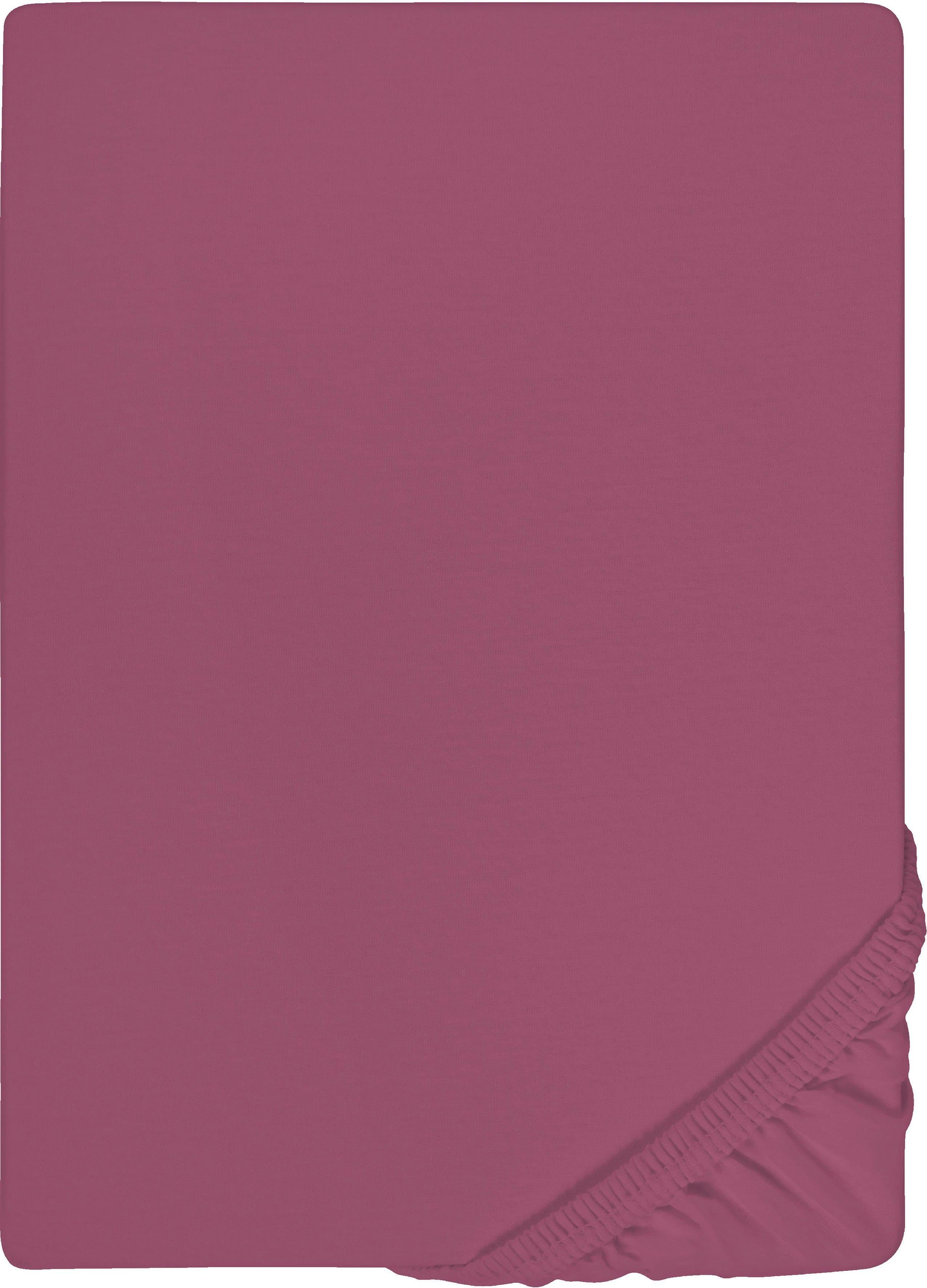 Castell Jersey Spannbettlaken | Lila