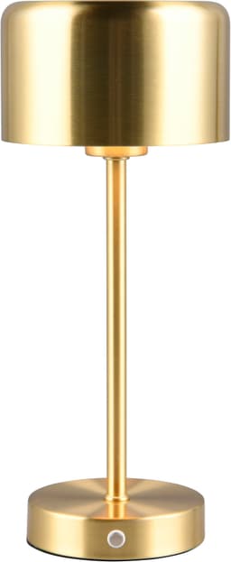 Reality Leuchten LED Tischleuchte JEFF | Bronze