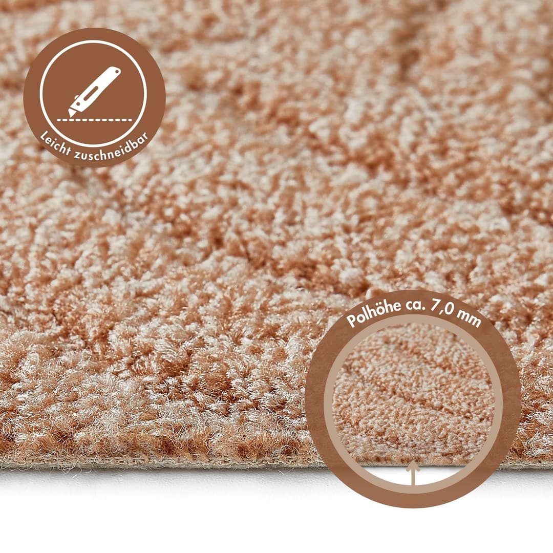 Andiamo Teppichboden Amberg | Beige