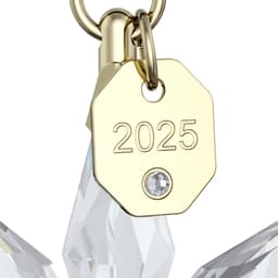 Swarovski Annual Edition 3D Ornament 2025 | Mehrfarbig