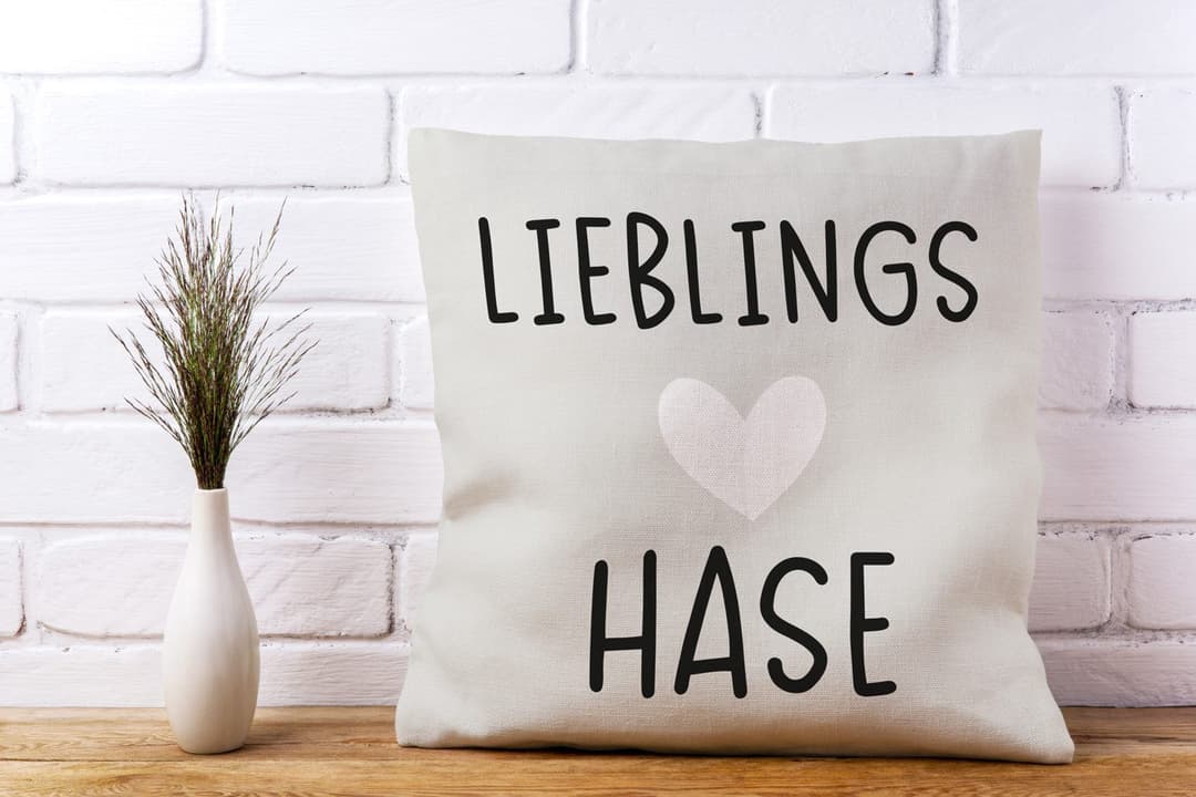 queence Dekokissen Lieblings Hase | Beige