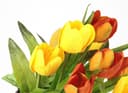 Kunstblume Tulpe im Weidenest | Mehrfarbig 2