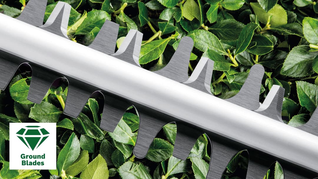 Bosch Home & Garden Elektro-Heckenschere AdvancedHedgeCut 65 | Grün