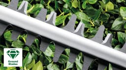 Bosch Home & Garden Elektro-Heckenschere AdvancedHedgeCut 65 | Grün
