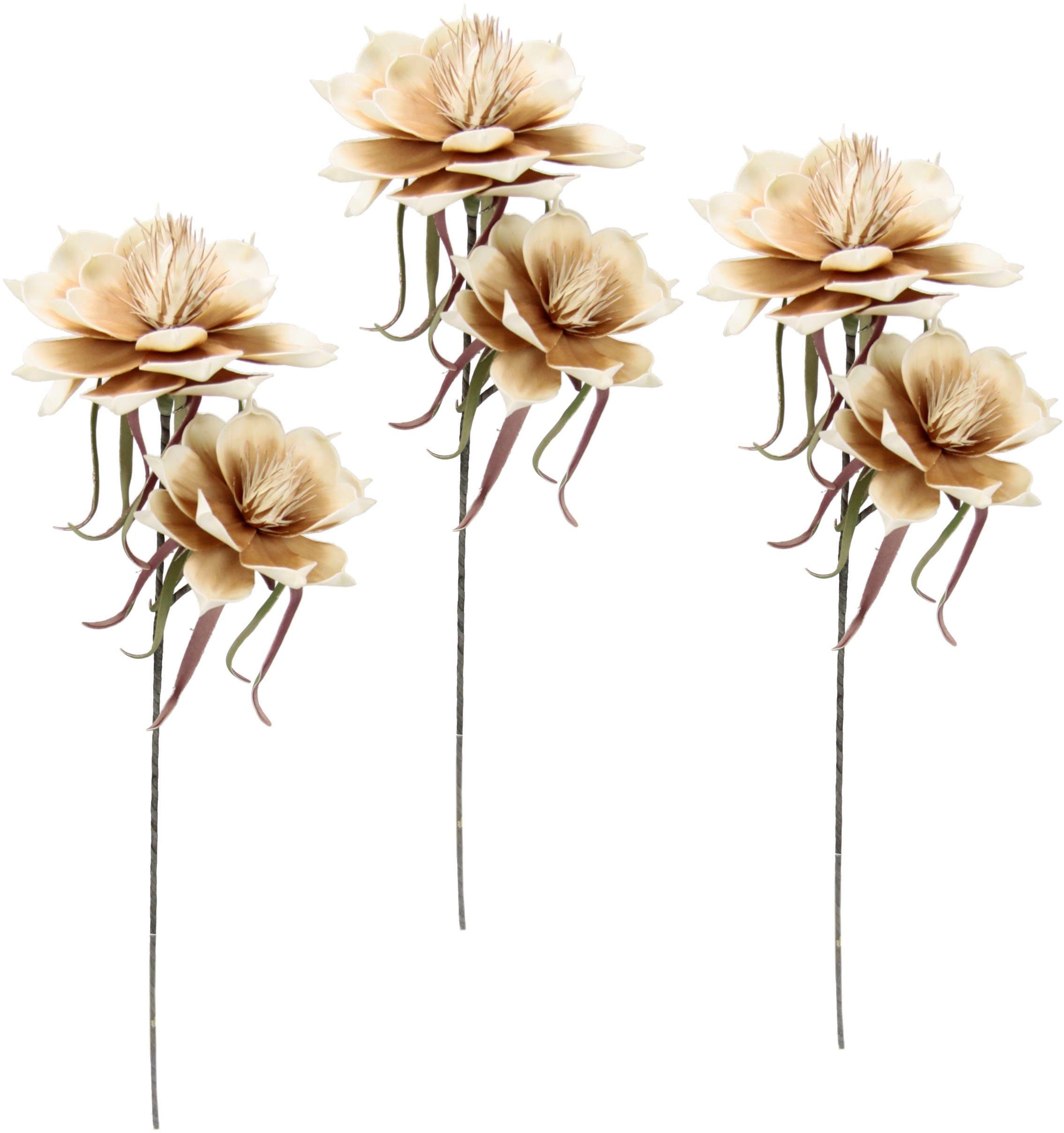 Kunstblume Soft-Magnolie | Beige