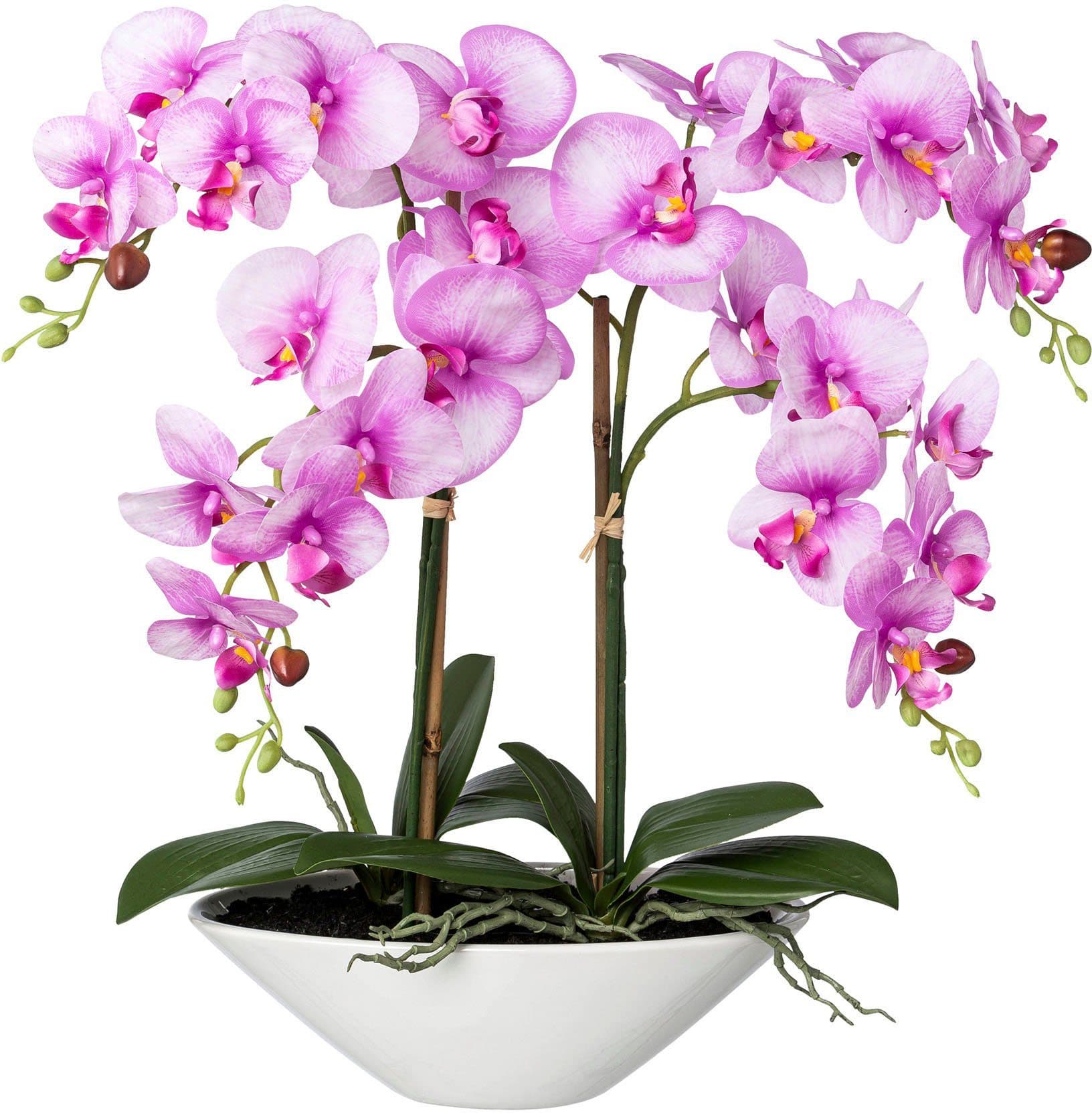 Kunstorchidee Deko-Orchidee Phalaenopsis in Keramikschale | Lila