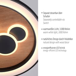 Paul Neuhaus Deckenleuchte ELIZA | Holztöne