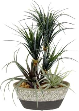 Kunstpflanze Dracena/Tillandsia | Grün