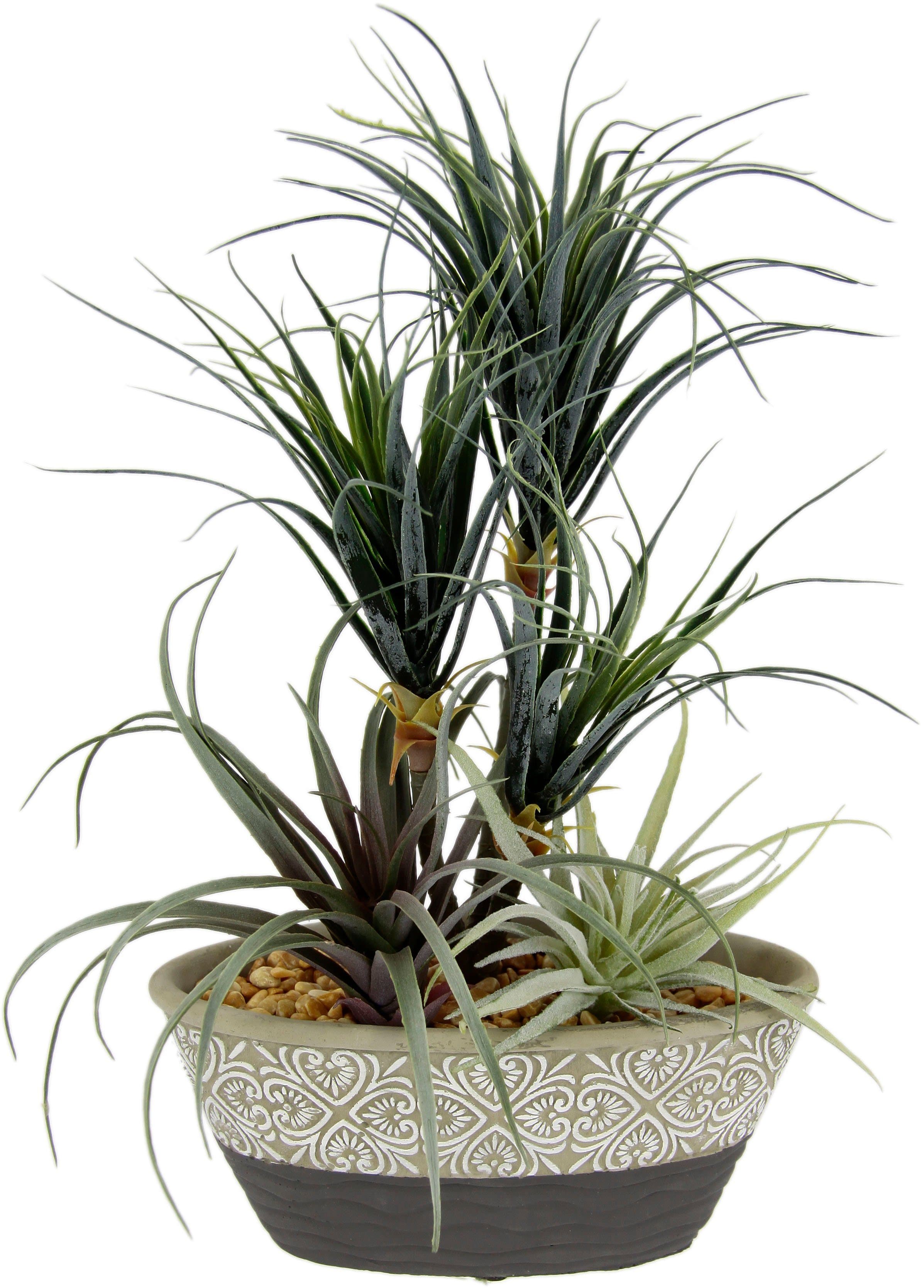 Kunstpflanze Dracena/Tillandsia | Grün