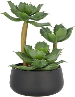 Künstliche Echeveria | Grün