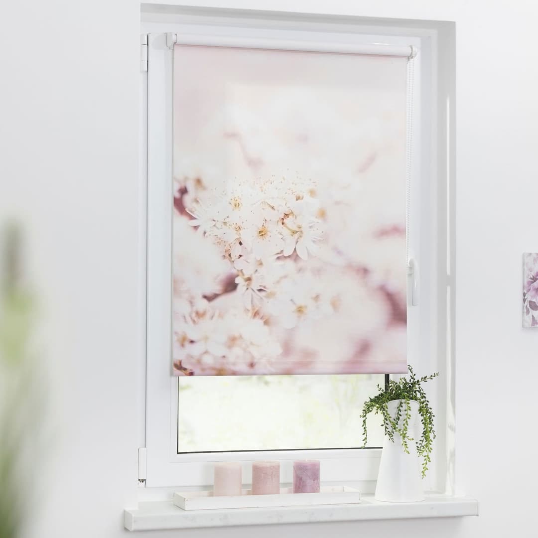 Seitenzugrollo Klemmfix Motiv Kirschblüten | Mehrfarbig