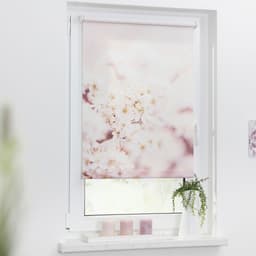 Seitenzugrollo Klemmfix Motiv Kirschblüten | Mehrfarbig