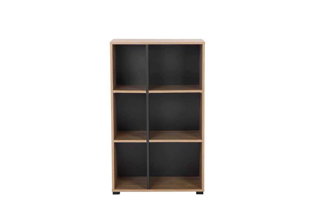 OTTO home Aktenregal Moid | Holztöne