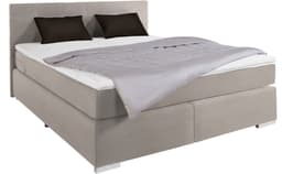 COTTA Boxspringbett Simba | Beige