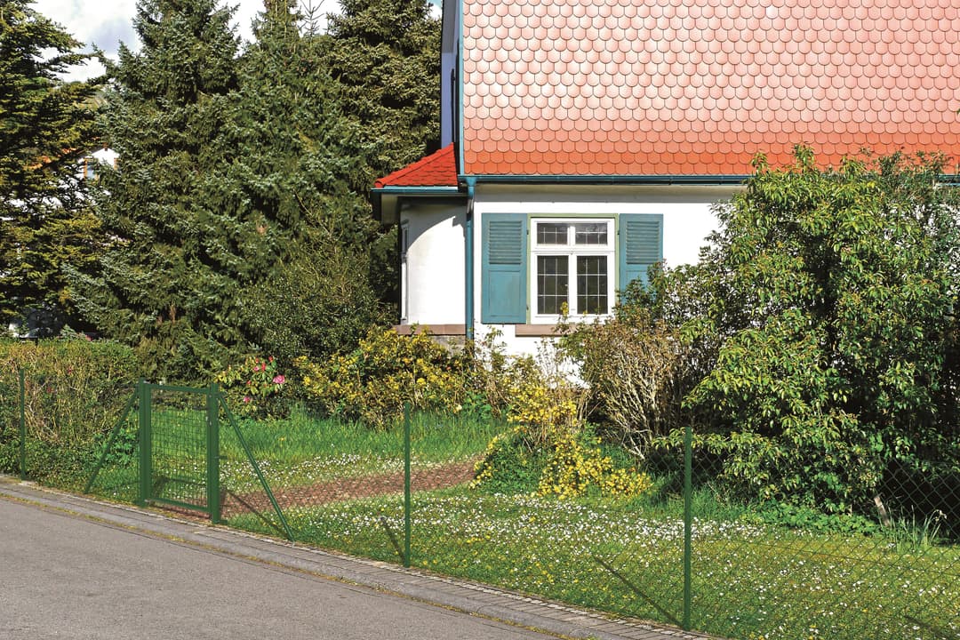 Alberts Maschendrahtzaun | Grün
