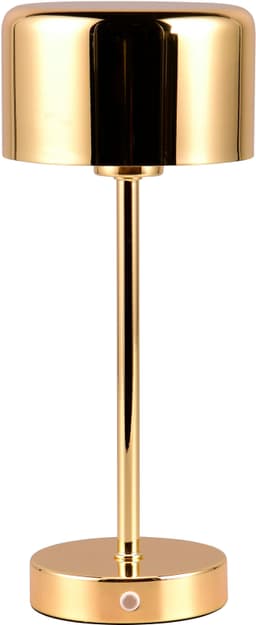 Reality Leuchten LED Tischleuchte JEFF | Gold
