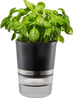 GEFU Kräutertopf Botanico | Schwarz