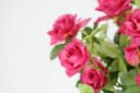 Kunstblume Wildrosen Busch im Topf | Rosa 2