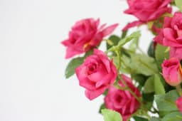Kunstblume Wildrosen Busch im Topf | Rosa