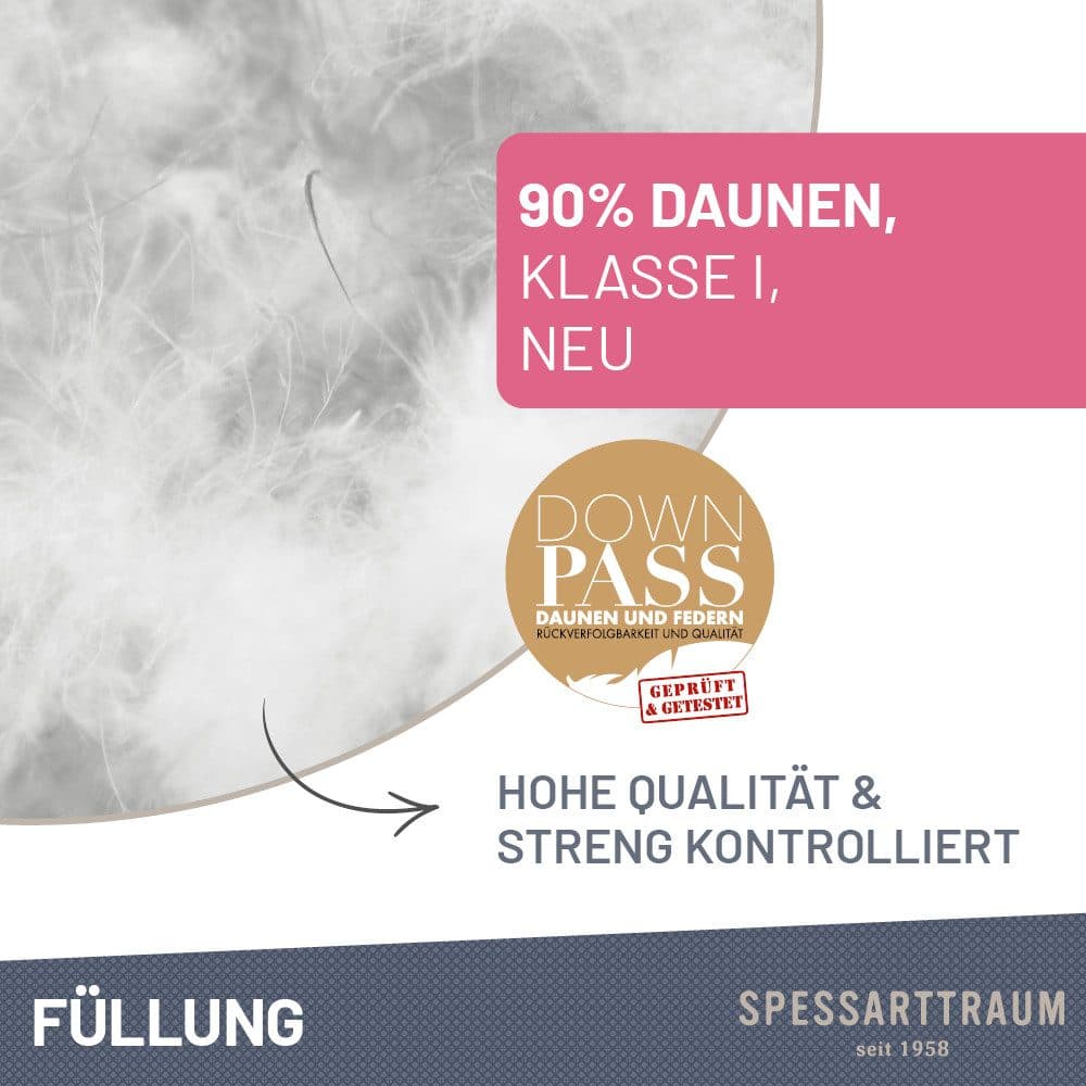 SPESSARTTRAUM Daunenbettdecke First Class | Weiß