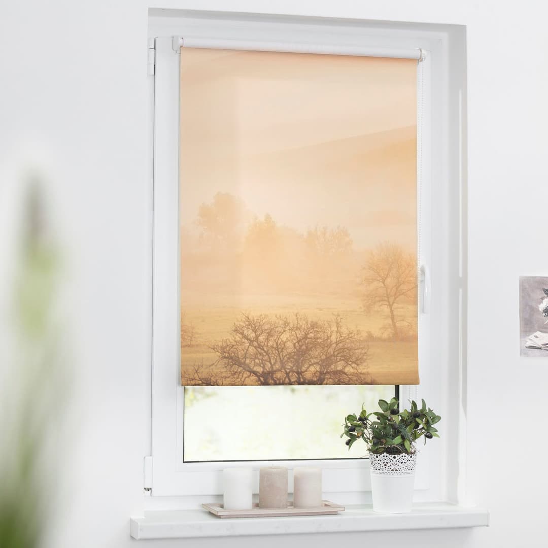 LICHTBLICK ORIGINAL Seitenzugrollo Klemmfix Motiv Toskana | Orange