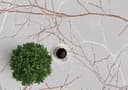 the carpet Teppich Mila | Grau 4