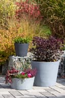 Scheurich Blumentopf 40/239 C-CONE BOWL | Grau 5