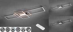 TRIO Leuchten LED Deckenleuchte MILA | Schwarz