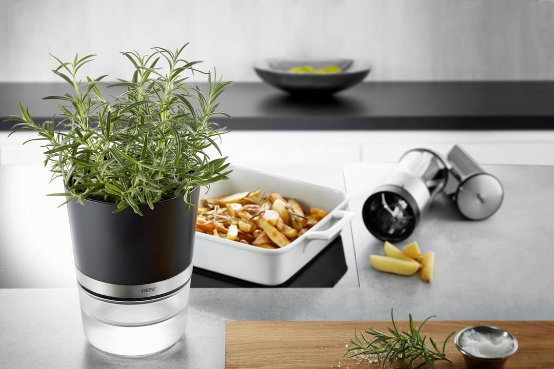 GEFU Kräutertopf Botanico | Schwarz