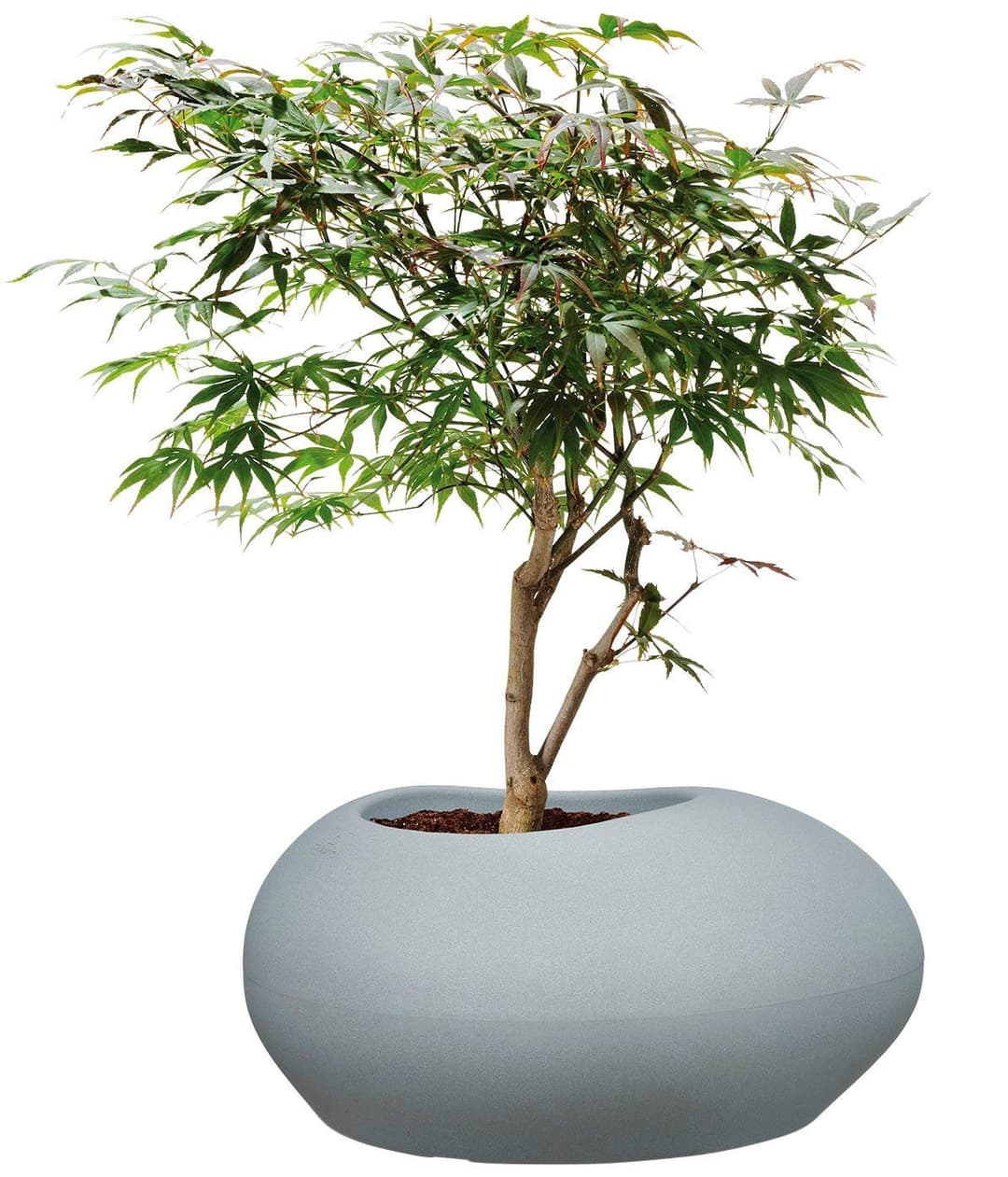 Scheurich Blumentopf 48/280 FLOW | Grau