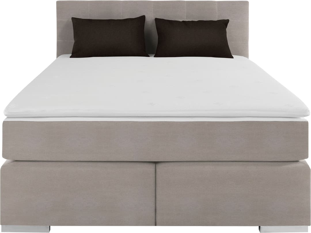 COTTA Boxspringbett Simba | Grau