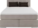 COTTA Boxspringbett Simba | Grau 4