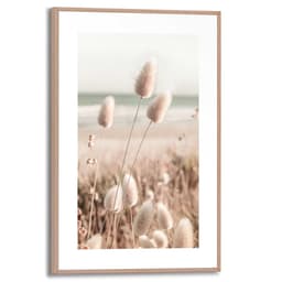 Reinders! Poster Ziergras | Beige