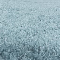 Ayyildiz Teppiche FLUFFY 3500 Hochflor-Teppich | Blau