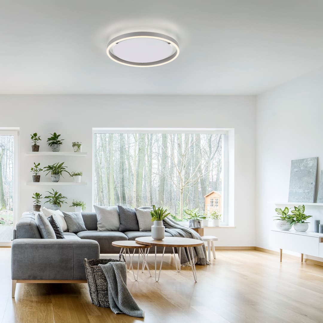 JUST LIGHT Deckenleuchte RITUS | Silber