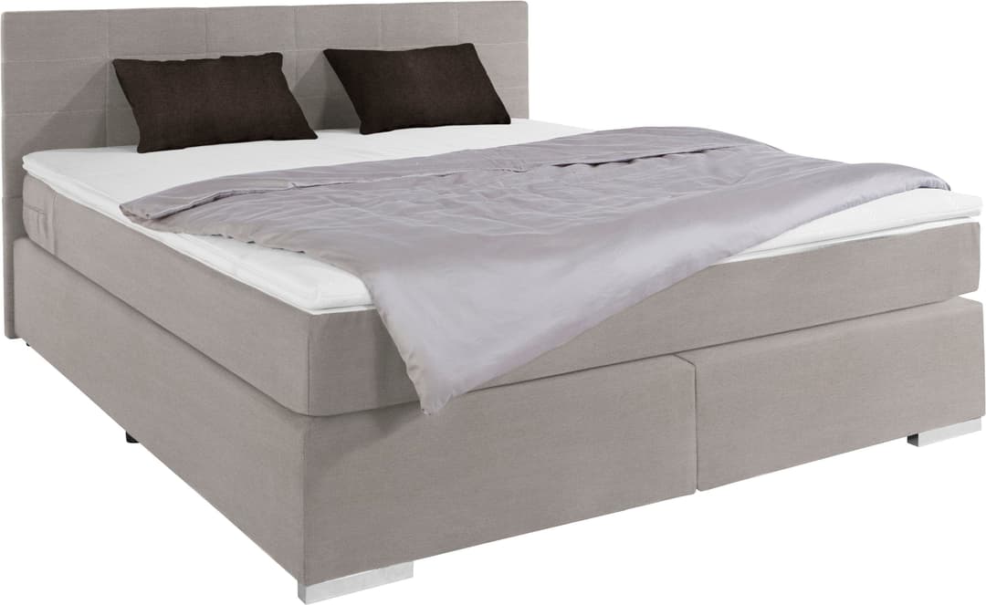 COTTA Boxspringbett Simba | Grau