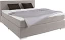 COTTA Boxspringbett Simba | Grau 3