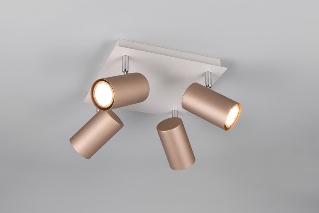 TRIO Leuchten Deckenstrahler MARLEY | Braun
