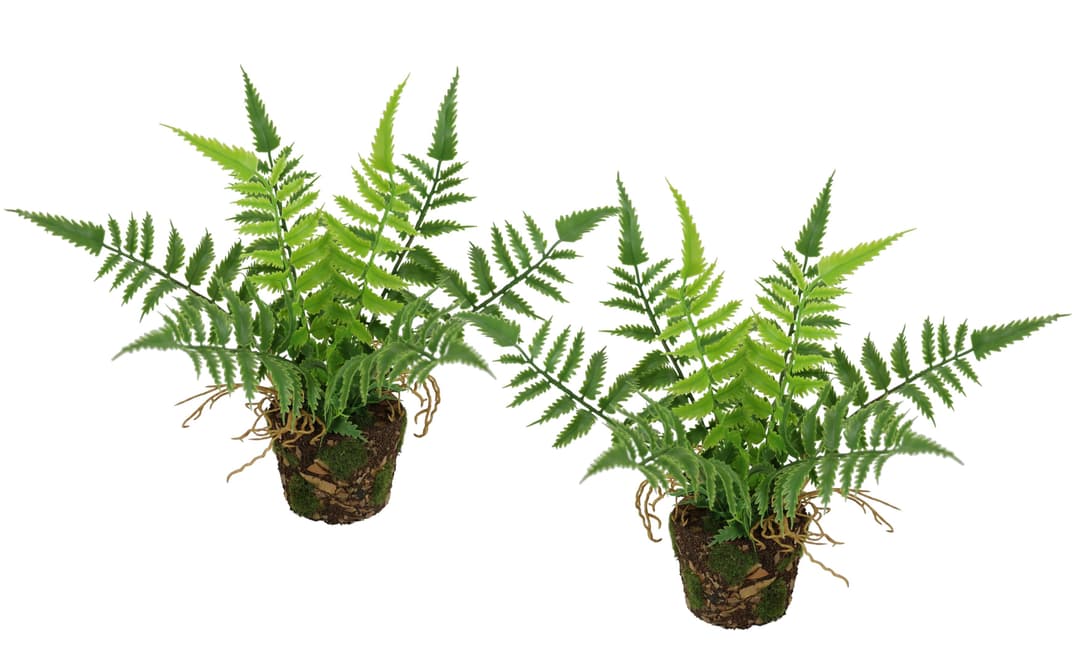 Künstlicher Waldfarn im Topf, I.GE.A., Höhe 23 cm, 2er Set | Grün