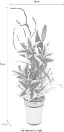 Kunstpflanze Lilien | Rot 2