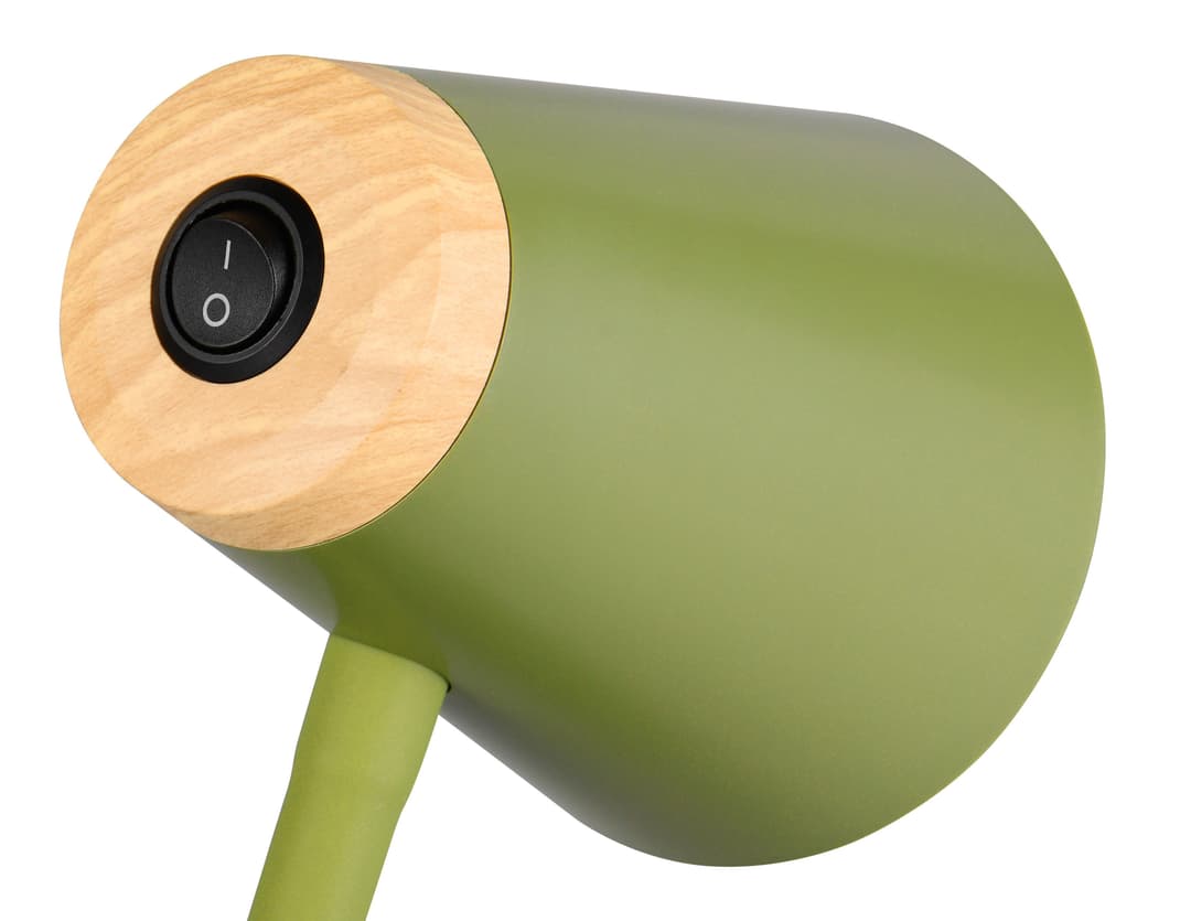 Reality Leuchten LED Stehlampe PONGO | Grün