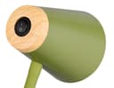 Reality Leuchten LED Stehlampe PONGO | Grün 5