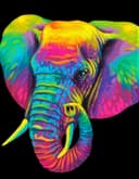 Diamond Dotz Kreativset Diamond Painting Neon Elefant | Mehrfarbig 2