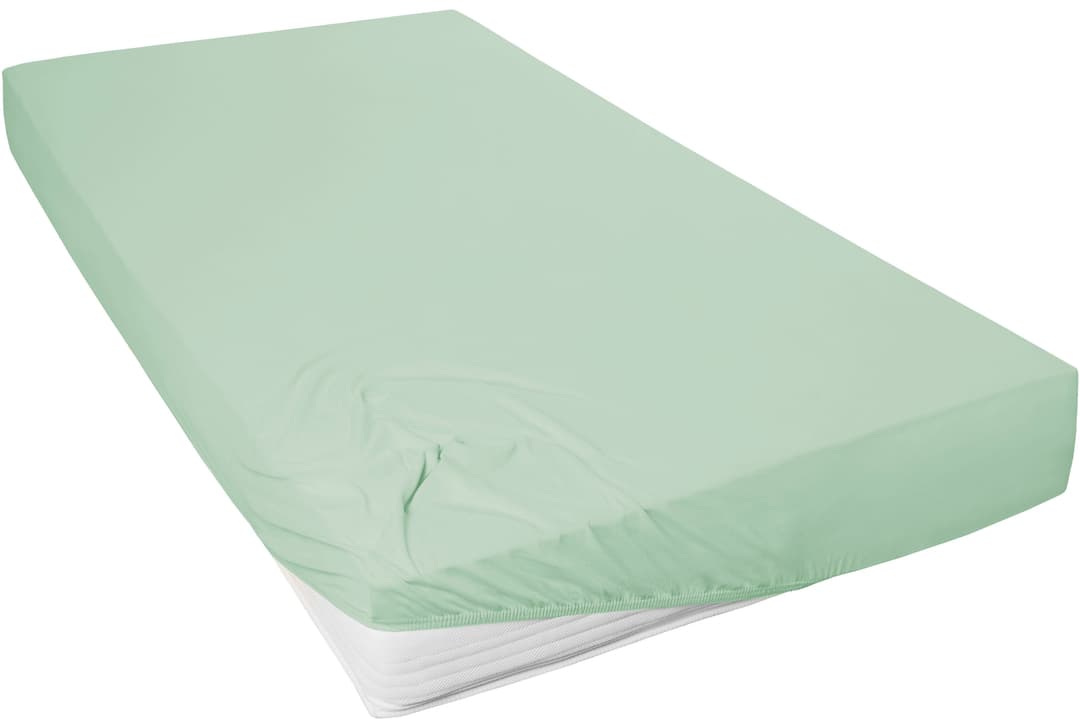 Primera Spannbettlaken Mako-Feinjersey | Grün