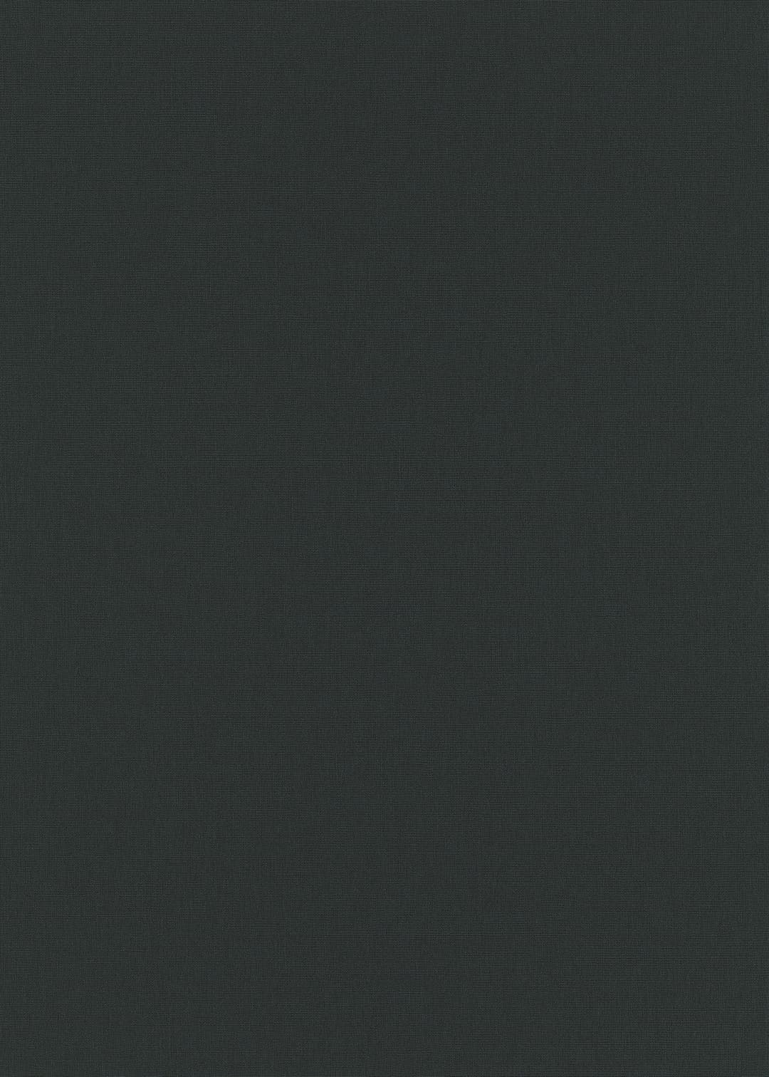 Erismann Vliestapete Colour Passion | Schwarz