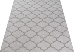 the carpet Teppich Knight | Grau