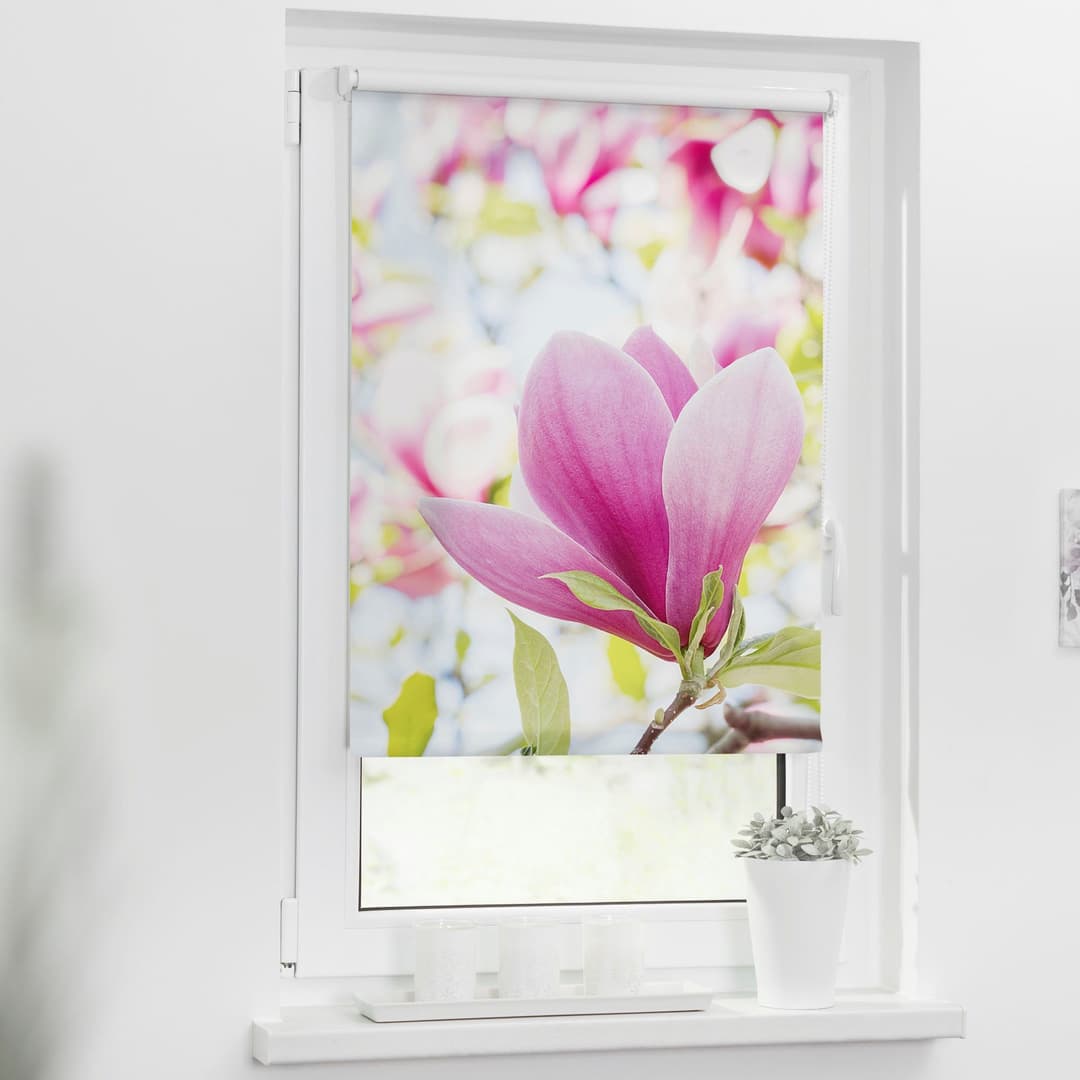 Seitenzugrollo Klemmfix Motiv Magnolie | Rosa