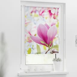 Seitenzugrollo Klemmfix Motiv Magnolie | Rosa