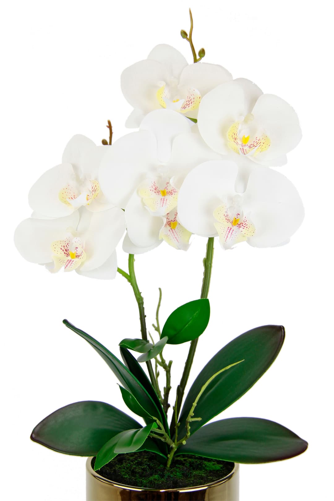 Kunstblume Orchidee I.GE.A. | Weiß