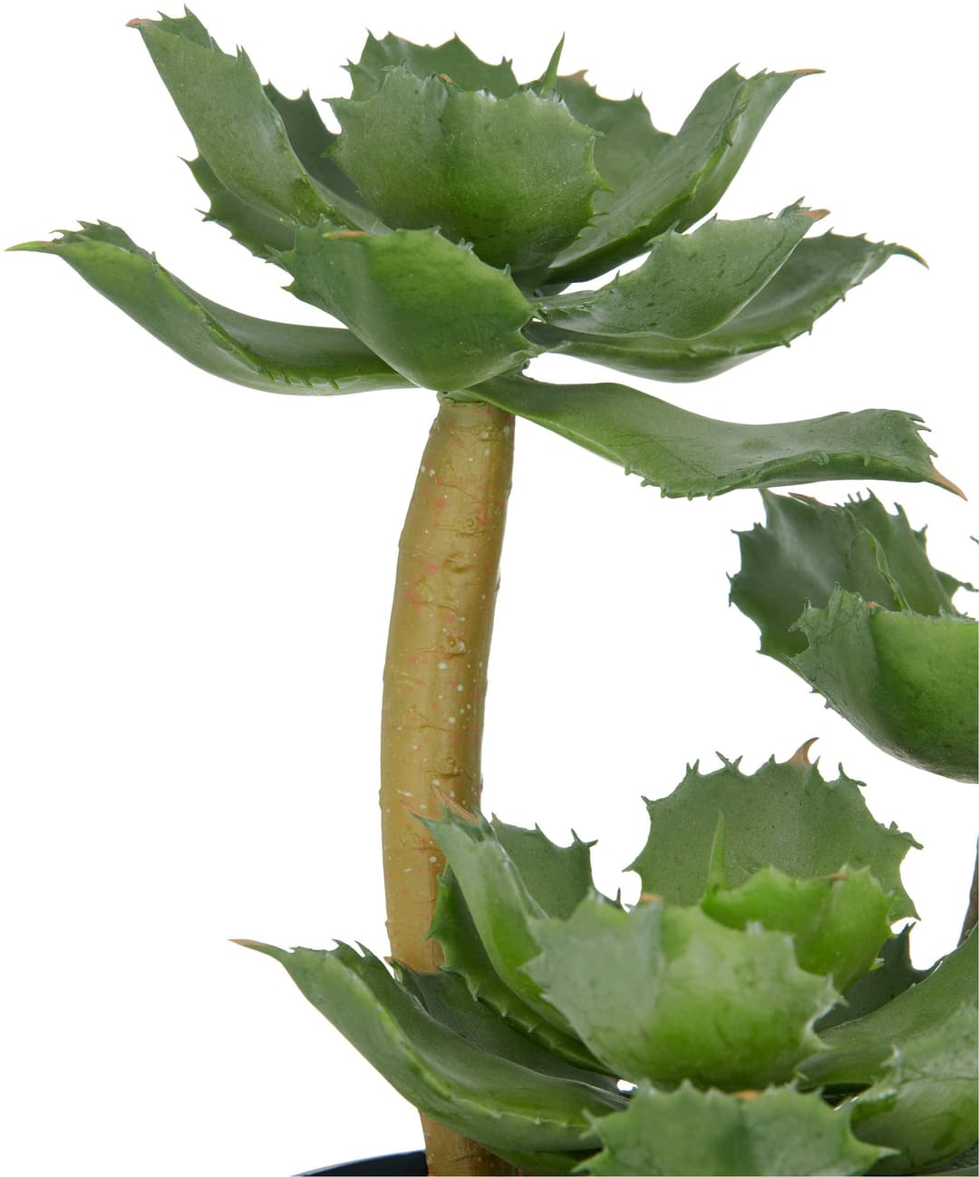 Künstliche Echeveria | Grün